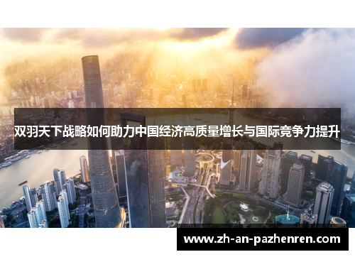 双羽天下战略如何助力中国经济高质量增长与国际竞争力提升