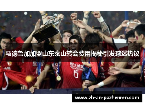马德鲁加加盟山东泰山转会费用揭秘引发球迷热议