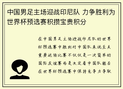 中国男足主场迎战印尼队 力争胜利为世界杯预选赛积攒宝贵积分